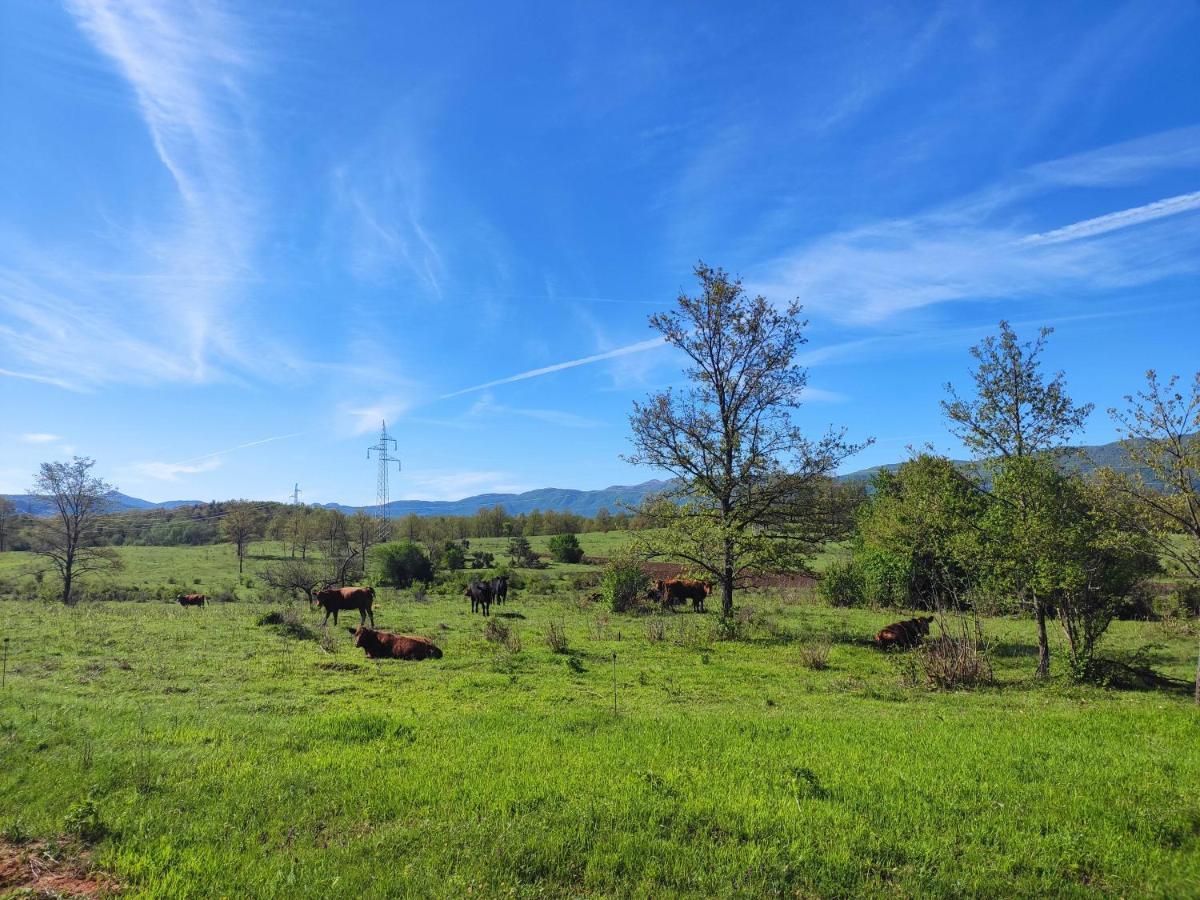 Velebit Lodge Lovinac  Zewnętrze zdjęcie