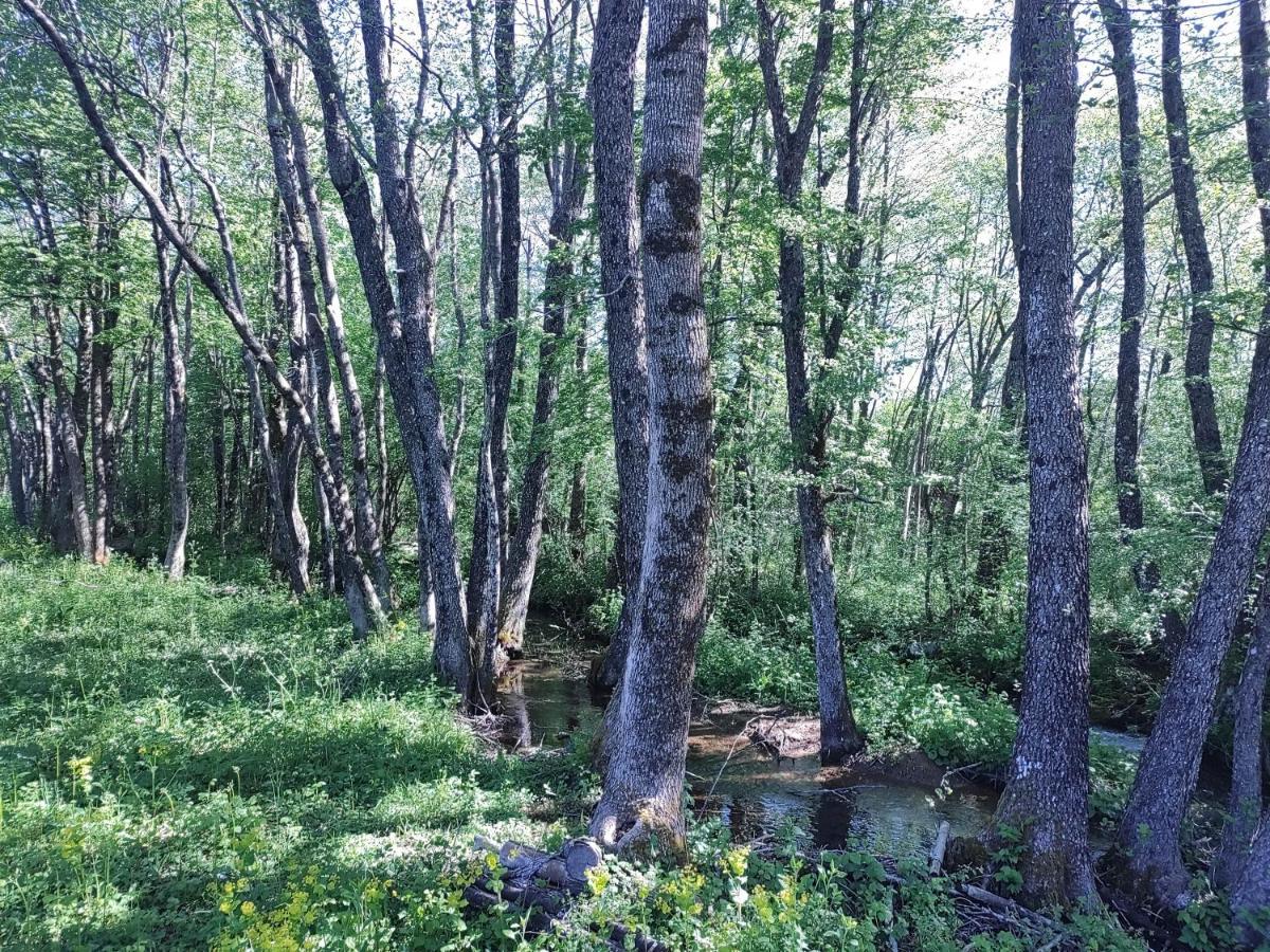 Velebit Lodge Lovinac  Zewnętrze zdjęcie